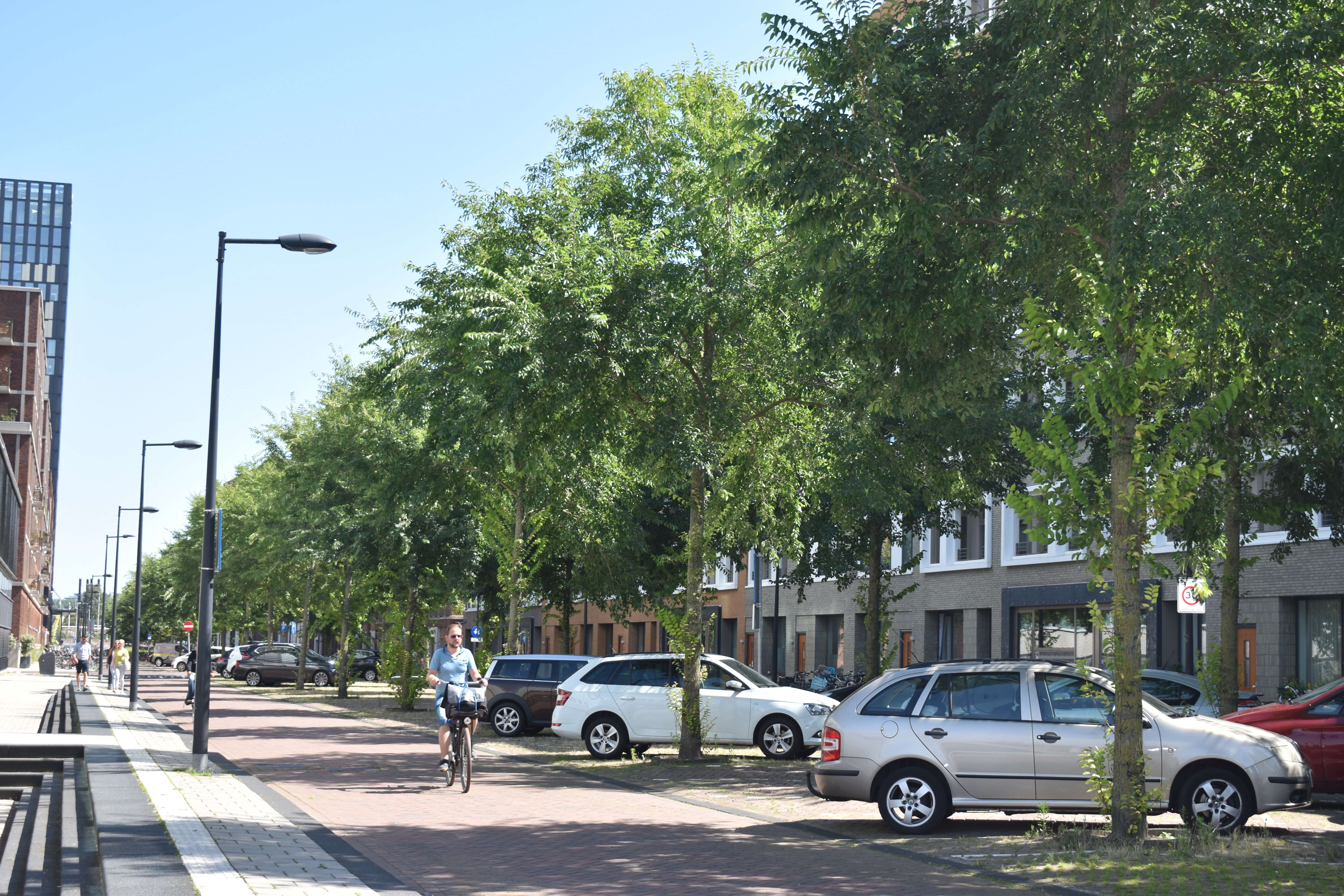 Trees installed in a city environment using the ArborRaft tree pit solution